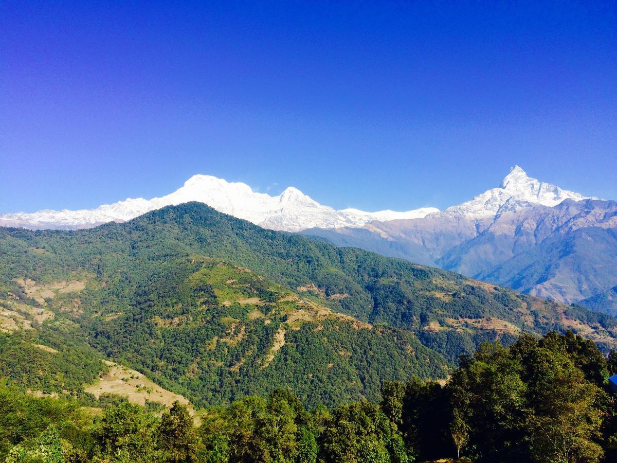 Aroma Tourist Hostel Pokhara Eksteriør bilde