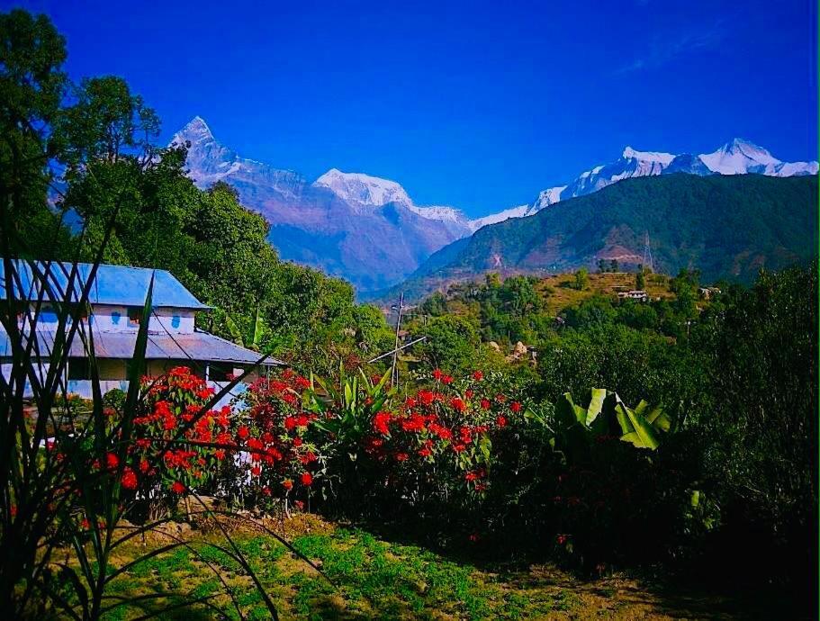 Aroma Tourist Hostel Pokhara Eksteriør bilde