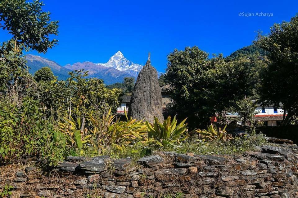 Aroma Tourist Hostel Pokhara Eksteriør bilde